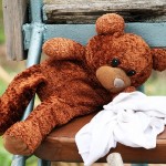 Die Story vom Apfelstrudel und dem Braunbären